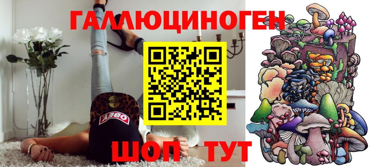 Миасс  Галлюциногенные грибы Cubensis  Вход с VPN 