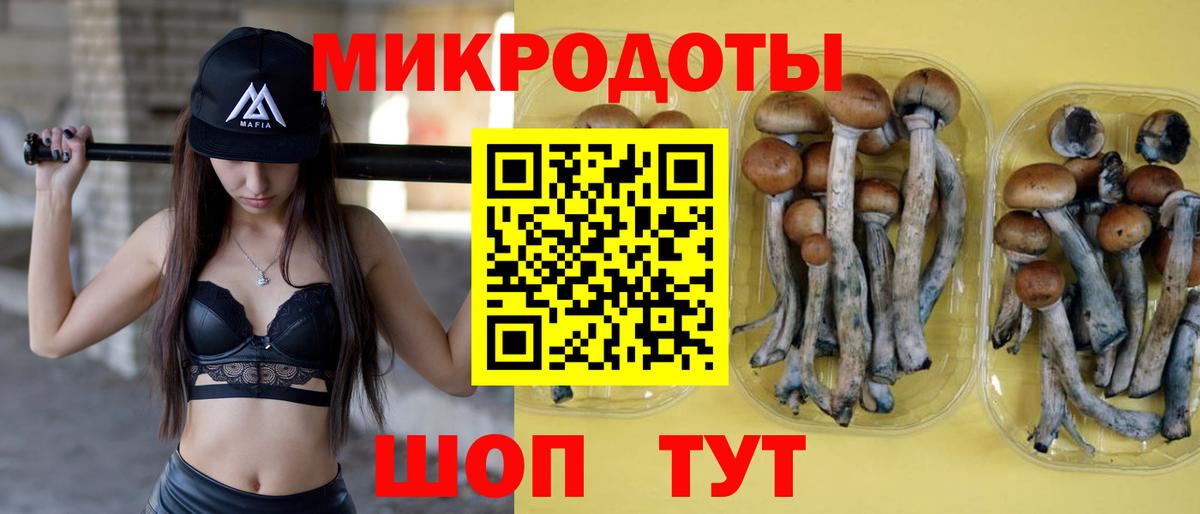 Псилоцибиновые грибы мицелий Миасс